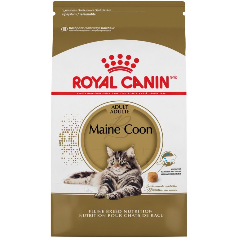 Royal Canin Feline Breed Nutrition Maine Coon Adult Dry Cat Food
