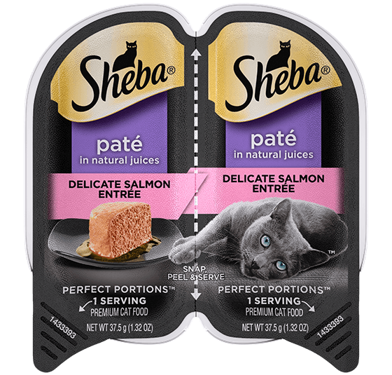 Sheba Paté Delicate Salmon Entrée Wet Cat Food