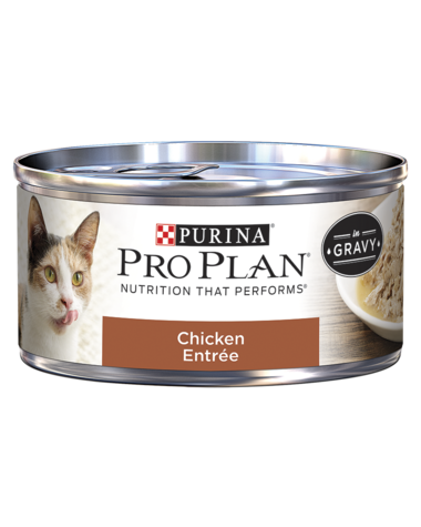 Purina Pro Plan Chicken Entrée In Gravy Wet Cat Food