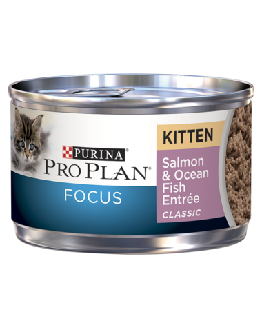 Purina Pro Plan Focus Salmon & Ocean Fish Entrée Wet Kitten Food