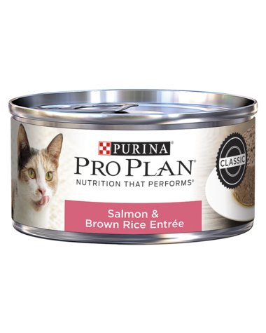 Purina Pro Plan Salmon & Brown Rice Entrée Wet Cat Food