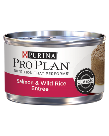 Purina Pro Plan Salmon & Wild Rice Entrée Wet Cat Food