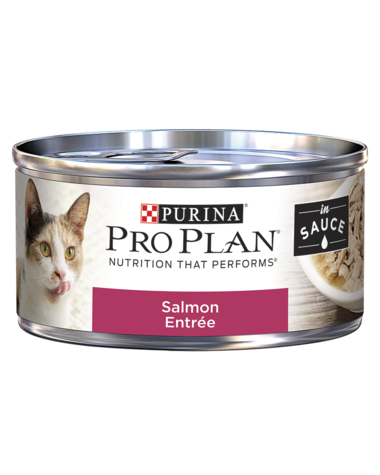 Purina Pro Plan Salmon Entrée In Sauce Wet Cat Food