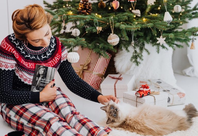Best Christmas Gifts For Cat Lovers