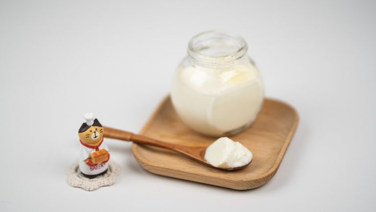 Homemade Probiotic Yogurt For Cats